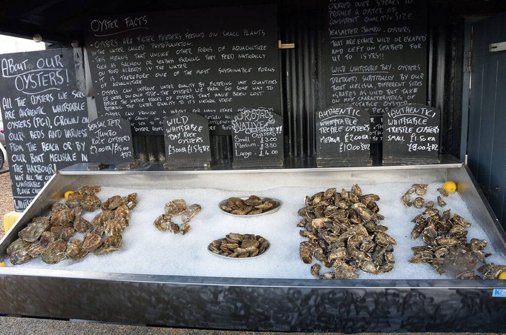 A display packed with ice and with a selection of oystyers. Blacboards behind the display say what is for sale.