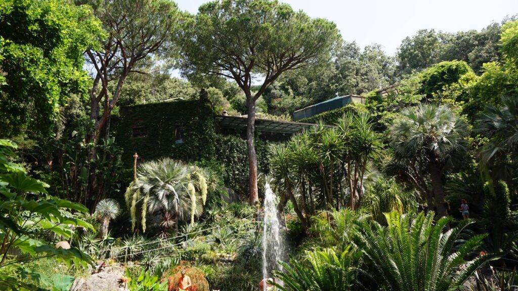things to do in Ischia - a snapshot from Giardini la Mortella botanicl garden 